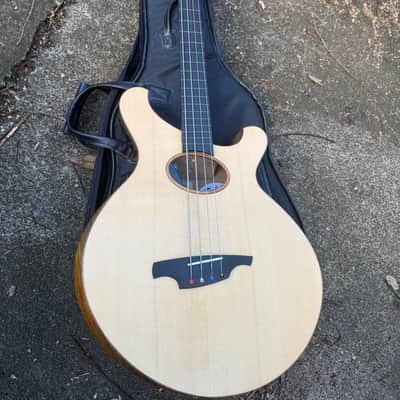 Svoboda Acoustic Electric Bass - Freted or Fretless 2021 - Clear Mat image 15