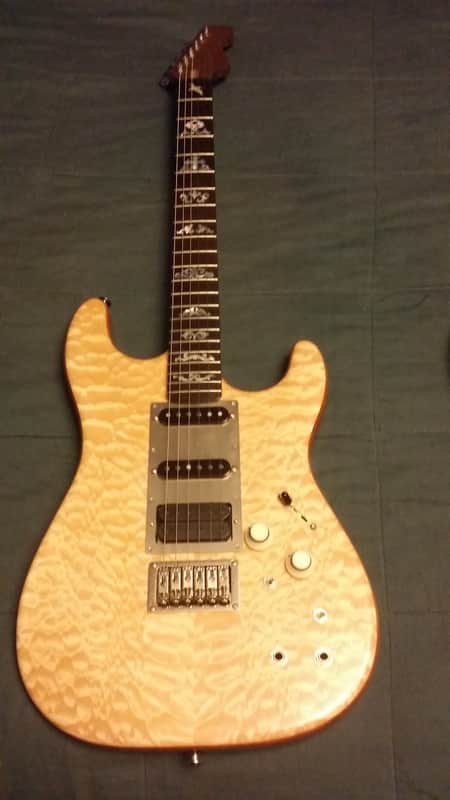 Jerry Garcia "Wolf" Inspired Custom Strat image 1