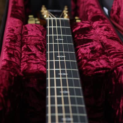 Taylor 50th Anniversary 217e-SB Plus LTD | Sunburst image 9