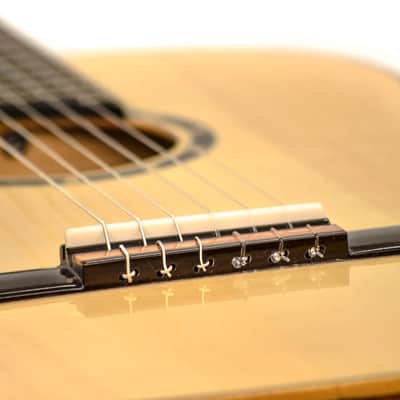 Ortega Guitars R121 Family Series Nylon 6-String Guitar w/ Free Bag, Spruce Top and Mahogany Body, Satin Finish image 3