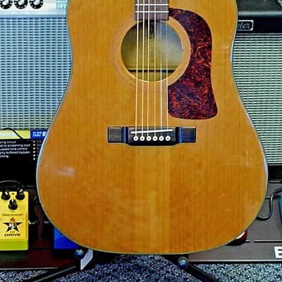 Washburn D-30S Southern Jumbo Acoustic Guitar Birds Eye Maple! image 2