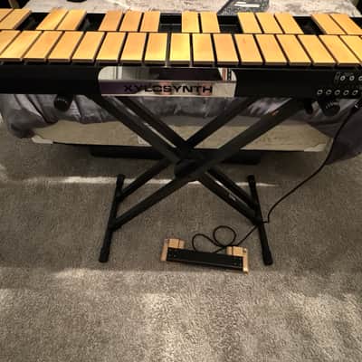 Xylosynth XS7s-4BB 2020 image 2