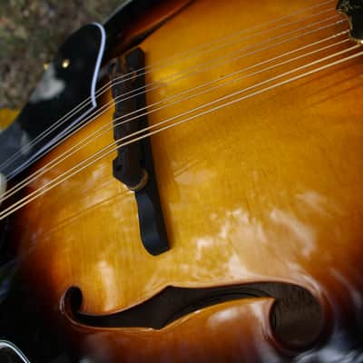 Washburn M3SWK Bluegrass F-Style Mandolin with Hardshell Case- Sunburst image 14