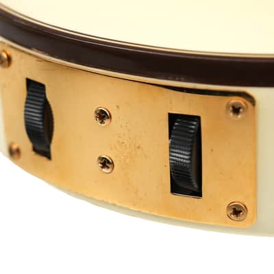 1980 – Gibson Chet Atkins CE -Alpine White image 17