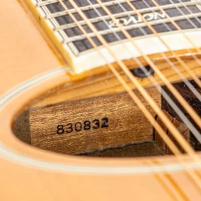 Daion Year Series '81 Gazelle / 12 String Electric Acoustic image 24