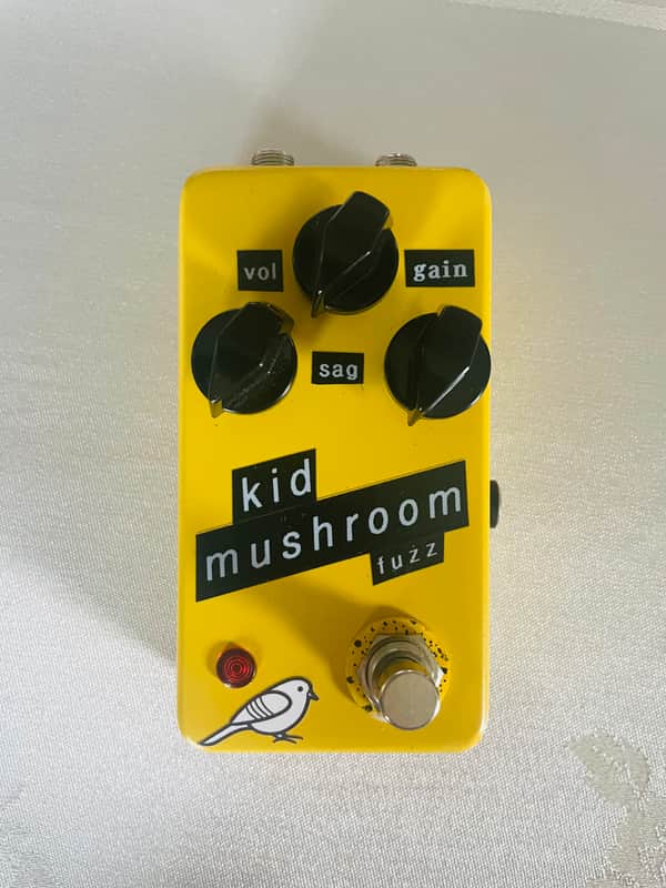 Kid Mushroom Fuzz (Fuzzly Bear Clone) image 1