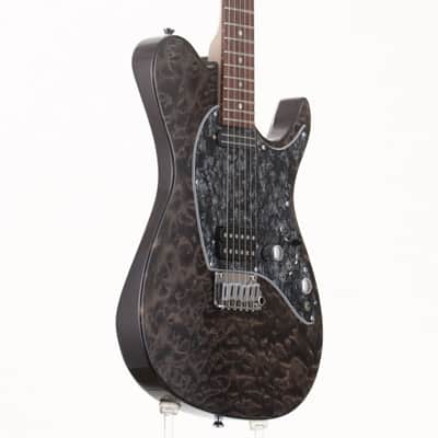 PROVIDENCE eH-202TRSC See-through black [P10125] [09/30] | Reverb