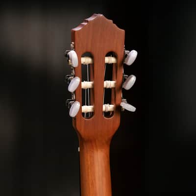 Ortega R122-3/4 Family Series Cedar Top Mahogany Neck 3/4-Size Nylon 6-String Classical Acoustic Guitar w/Gig Bag image 24