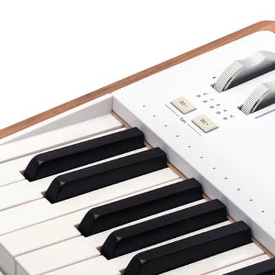 Arturia AstroLab 61 Avant-garde Stage Keyboard image 8