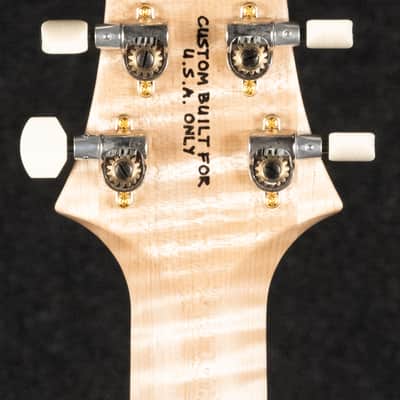 PRS DGT 10 Top Brazilian Wood Library - Purple Mist image 12