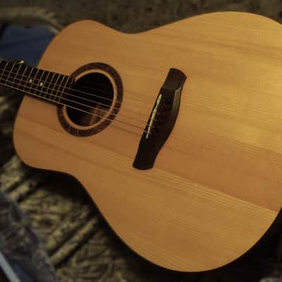 Peterson D-100 MY (2021) USA Handbuilt Boutique Acoustic Dreadnought - Fishman Matrix Infinity, OHSC image 12