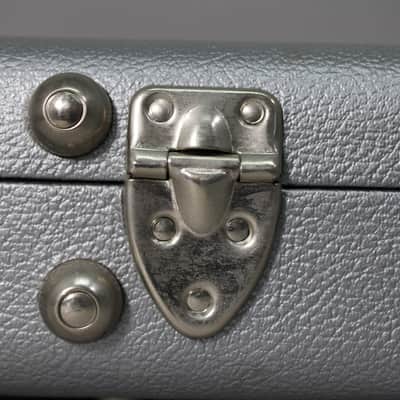 Ernie Ball Musicman Bongo Bass Case Silver image 9