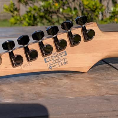 Ibanez S421 24 Fret AANJ Neck image 7