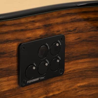 LAG Tramontane 318 T318DCE Acoustic-Electric Dreadnought, Free Shipping image 7