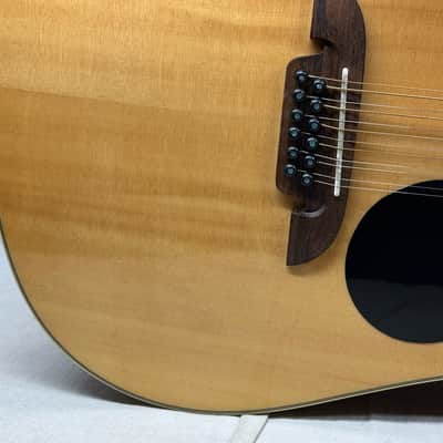 Alvarez AD60-12CE 12-string Acoustic Guitar with Case image 6