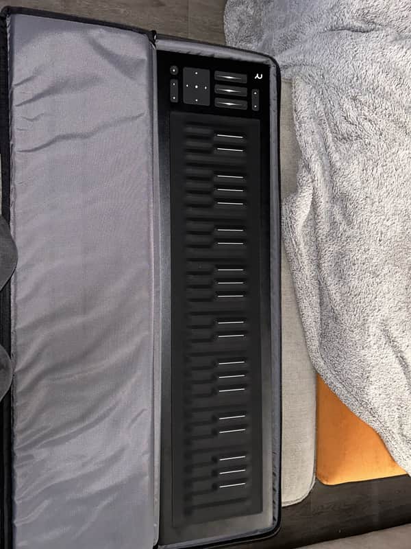 ROLI Seaboard RISE 49 | Reverb