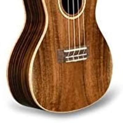 Lanikai Model ACS-C All Solid Acacia Concert size Ukulele with Case image 1