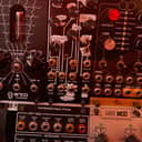 Noise Engineering Manis Iteritas 2017 - Present - Black