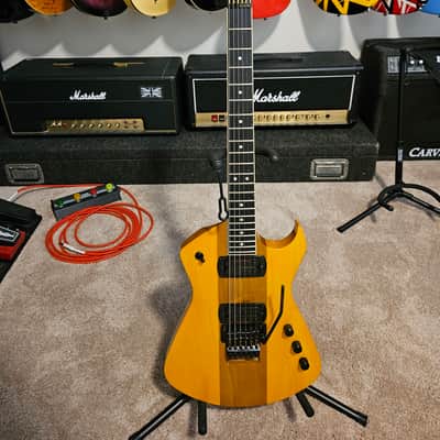 Floyd Rose Redmond Seattle Prototype image 1