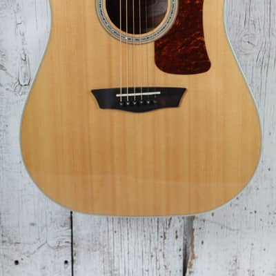 Washburn D100SWE Dreadnought Acoustic Electric Guitar with Hardshell Case image 1