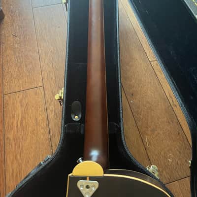 Demo video! Michael Kelly Club deluxe Acoustic Bass with hard case image 6