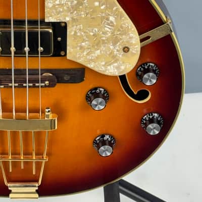 Jay Turser Hollow Body Electric Bass Guitar w/ Hardshell Case – Tobacco Sunburst image 4