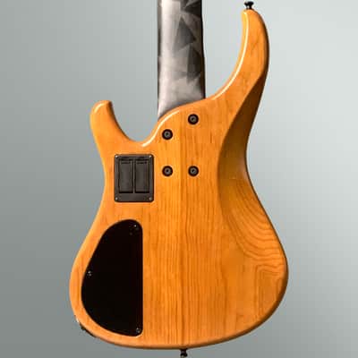 G. Gould GGi5 2023 Cocobolo/Roasted Pine - Natural Clear Gloss image 12