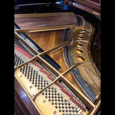 Steinway & Sons Model M Grand Piano – Golden Age image 8