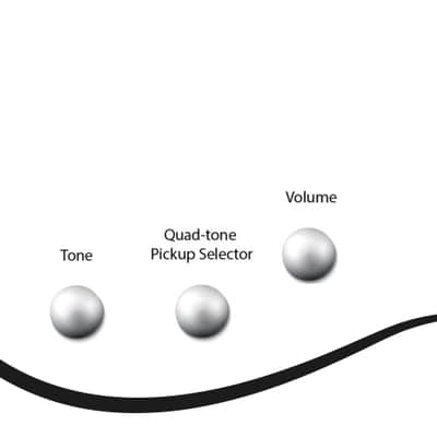 Dingwall SP1 Matte Ducati Pearl White, Matte Pablo PG, 4-String Bass, GigBag, Authorized Dealer, In-Stock & Ready to Ship! image 3