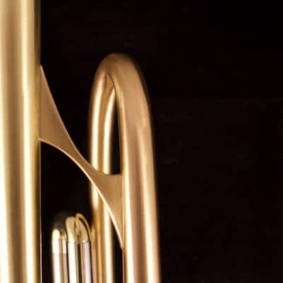 Show Demo Adams A8 Ergonomic Trumpet in Satin Lacquer image 10