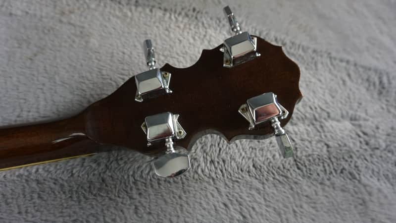 Vintage Tenesy Thumb Standard 5-String Banjo w/ Hard Case | Reverb