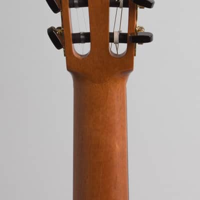 Ross Gutmeier Classical Guitar (2016), black hard shell case. image 6
