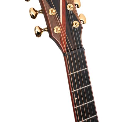 Cort ABSTRACT DELTA | Masterpiece Series Acoustic-Electric OM Guitar. New with Full Warranty! image 5