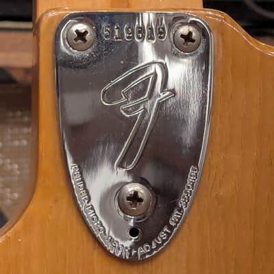 Fender Telecaster Thinline 1973 - Natural image 10