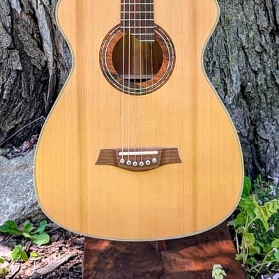 Van Gundy Customs The Spring Falcate Braced Acoustic Guitar image 3