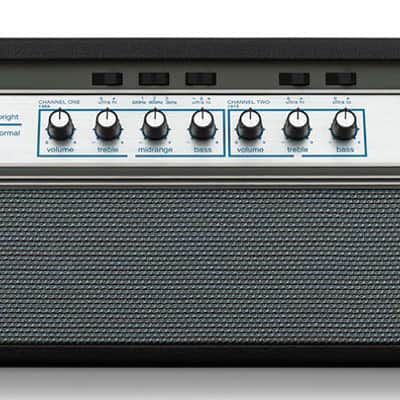 Ampeg SVT-50TH Heritage Anniversary Head image 1