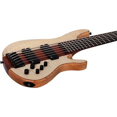 Schecter Schecter Guitar Research Charles Berthoud CB-6 6-String Electric Bass 2025 - Natural Satin image 6