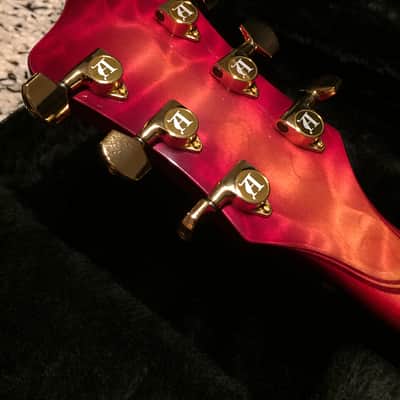 Alembic Big Darling image 14