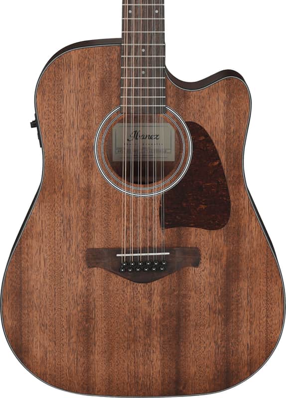 Ibanez AW5412CE Artwood Dreadnought 12-String Acoustic-Electric Guitar, Solid Okoume Top image 1