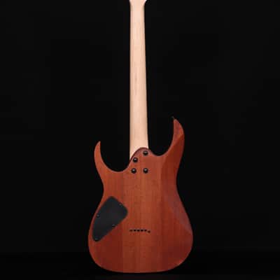 Ibanez RG421, Mahogany Oil image 7