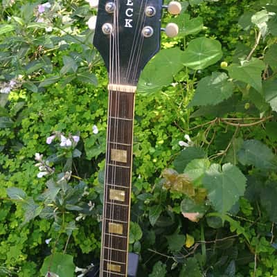 Incredibly Rare Harmony Roy Smeck Mando-Banjo/8-string Tenor Banjo 1960s image 4