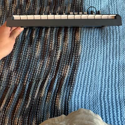 Arturia MicroBrute 25-Key Synthesizer 2014 - Present - Black image 4