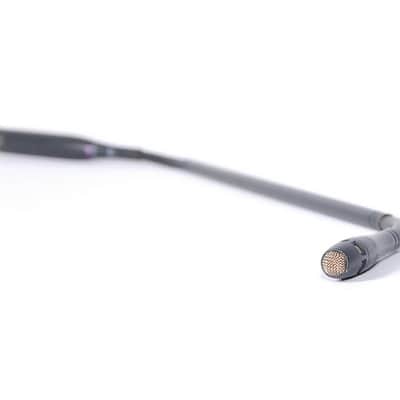 AKG GN50 E Gooseneck Microphone Module (XLR, 50cm / 20")