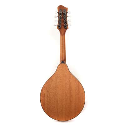 Eastman PCH-M104 Flat Top Mandolin - Natural w/ Bag image 8