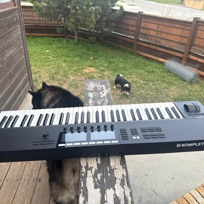 Native Instruments Komplete Kontrol S61 MK3 2023 - Present - Black image 3