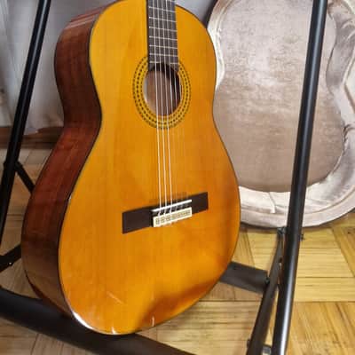 Yamaha GC12C Solid Cedar/Mahogany Classical Guitar image 2