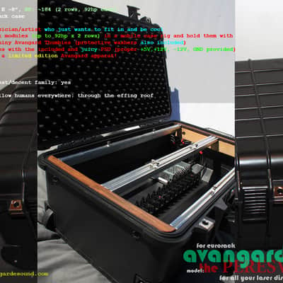 NEW! Avantgarde Sound • The Peresvet • 186hp Fully Powered Eurorack Case w/Wheels! image 12