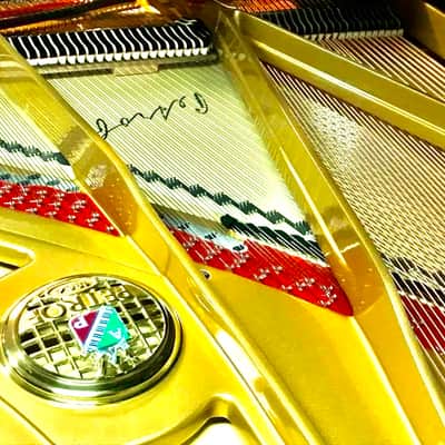 Petrof Concert Grand 284 Mistral Grand Piano P284 image 5