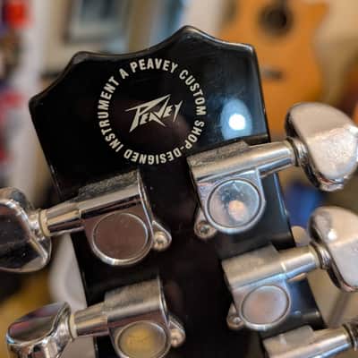Peavey Jack Daniels Solid Body Electric Guitar image 12