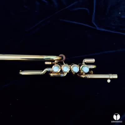 Henri Selmer Paris 465 BLF LONG piccolo Bb / A trumpet gamonbrass image 20
